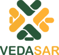 vedasar.com